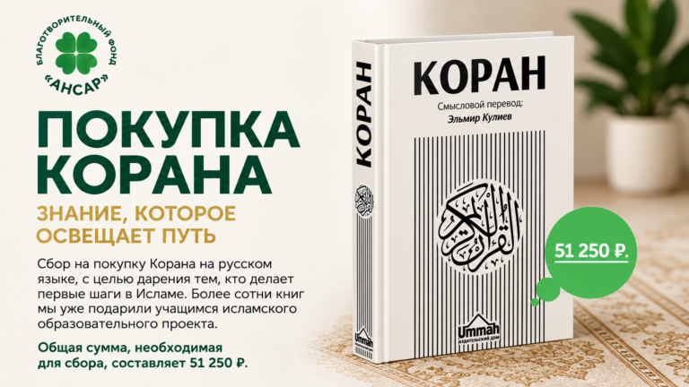 Ансар - 28c36bab095d45a19be04623bc465b43-768x432.png